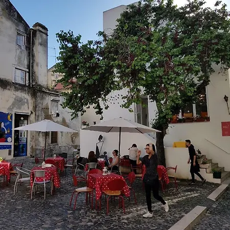 Séjour chez l'habitant Delicious Hours Mouraria